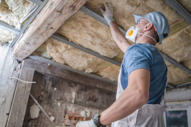 Best Energy Efficiency Insulation in Vienna, GA