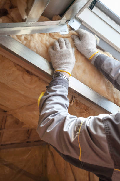 Best Geographic-Specific Insulation Services in Vienna, GA