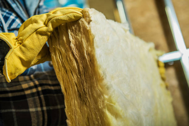 Best Eco-Friendly Insulation in Vienna, GA