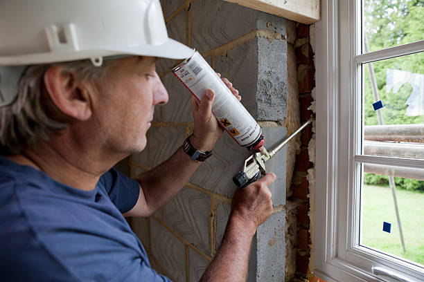 Best Specialized Insulation Services in Vienna, GA